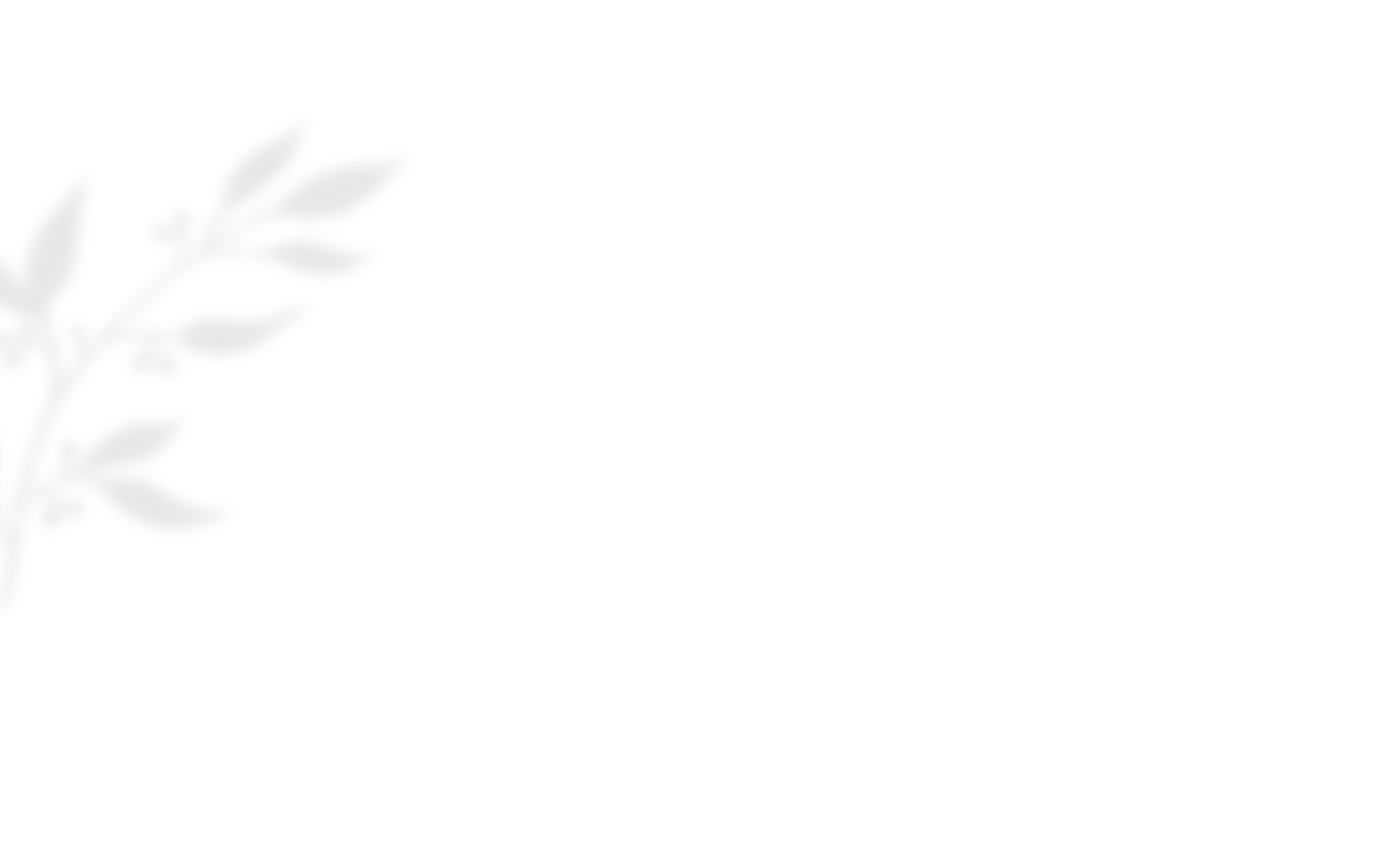 https://studiomolaris.hr/wp-content/uploads/2020/10/shadow_leaves_03.png
